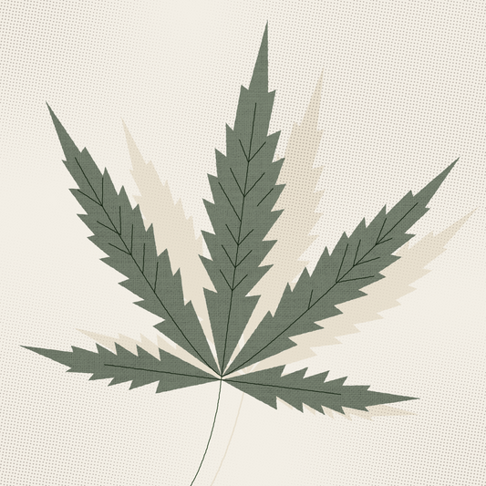How durable is hemp fabric?