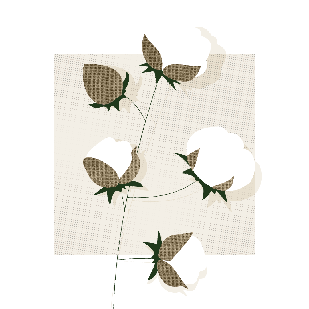 Why should you choose organic cotton?