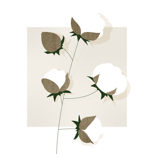Why should you choose organic cotton?