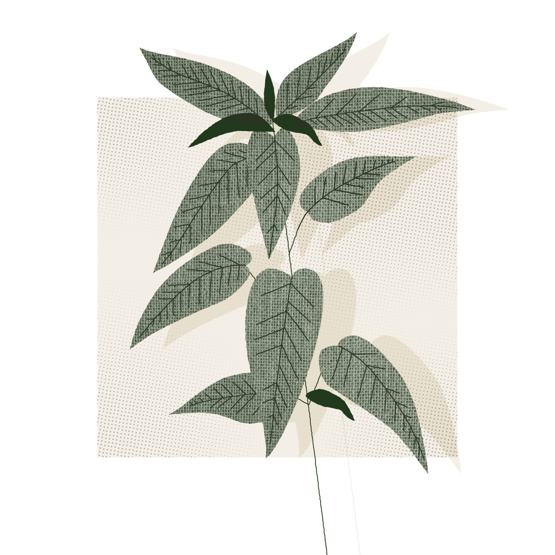 What are the benefits of nettle fabric?