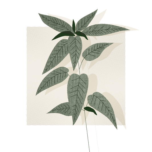 What are the benefits of nettle fabric?